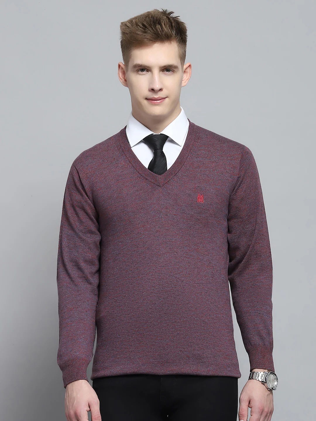 Men Purple Solid V Neck Full Sleeve Pullover